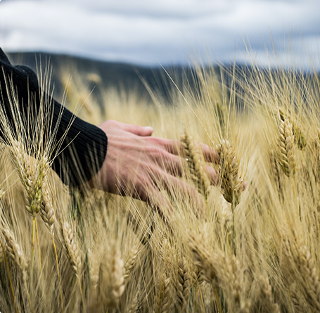 Instalación profesional de cámara de seguridad CCTV en exterior