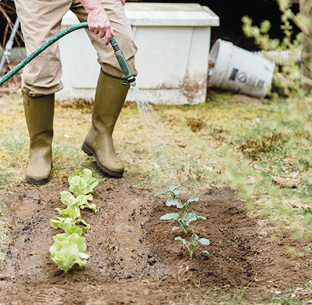 Diseño de paisajismo integral con diferentes plantas y elementos decorativos