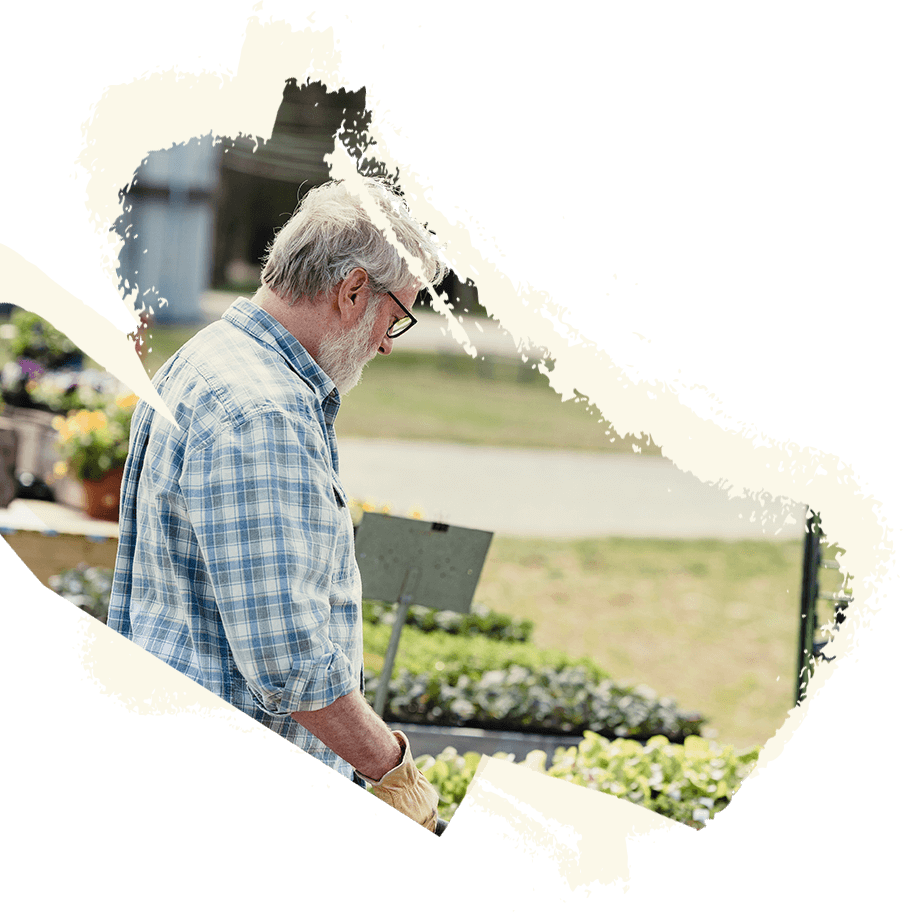 Montaje decorativo de servicios de Agrocercas