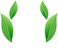 Forma decorativa orgánica